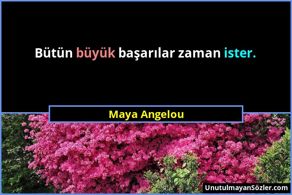 Maya Angelou - Bütün büyük başarılar zaman ister....