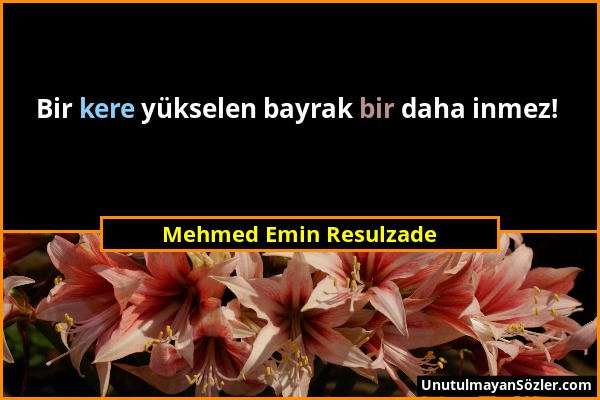 Mehmed Emin Resulzade - Bir kere yükselen bayrak bir daha inmez!...