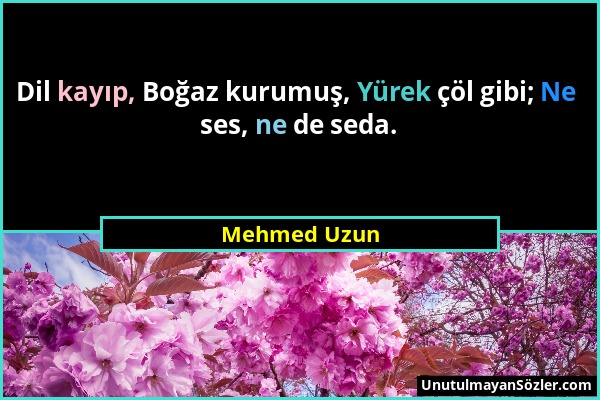 Mehmed Uzun - Dil kayıp, Boğaz kurumuş, Yürek çöl gibi; Ne ses, ne de seda....