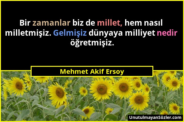 Mehmet Akif Ersoy - Bir zamanlar biz de millet, hem nasıl milletmişiz. Gelmişiz dünyaya milliyet nedir öğretmişiz....