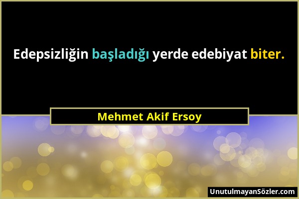 Mehmet Akif Ersoy - Edepsizliğin başladığı yerde edebiyat biter....