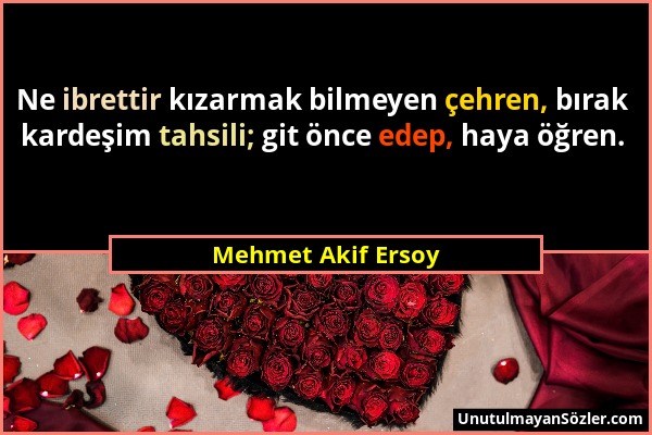 Mehmet Akif Ersoy - Ne ibrettir kızarmak bilmeyen çehren, bırak kardeşim tahsili; git önce edep, haya öğren....