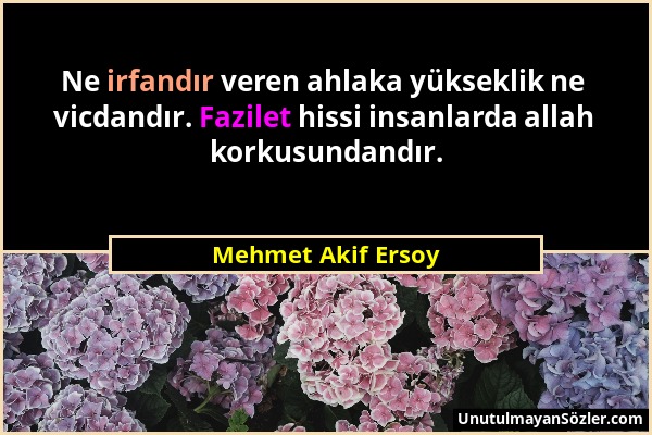 Mehmet Akif Ersoy - Ne irfandır veren ahlaka yükseklik ne vicdandır. Fazilet hissi insanlarda allah korkusundandır....