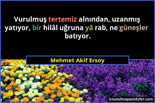 Mehmet Akif Ersoy - Vurulmuş tertemiz alnından, uzanmış yatıyor, bir hilâl uğruna yâ rab, ne güneşler batıyor....