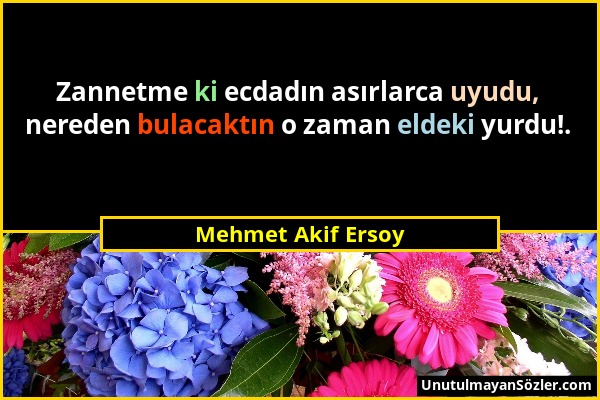 Mehmet Akif Ersoy - Zannetme ki ecdadın asırlarca uyudu, nereden bulacaktın o zaman eldeki yurdu!....
