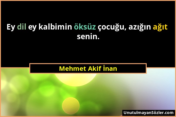 Mehmet Akif İnan - Ey dil ey kalbimin öksüz çocuğu, azığın ağıt senin....