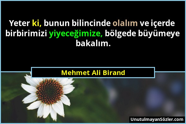 Mehmet Ali Birand - Yeter ki, bunun bilincinde olalım ve içerde birbirimizi yiyeceğimize, bölgede büyümeye bakalım....