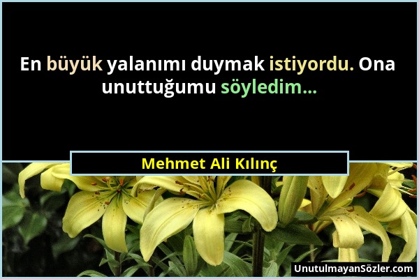 Mehmet Ali Kılınç - En büyük yalanımı duymak istiyordu. Ona unuttuğumu söyledim......