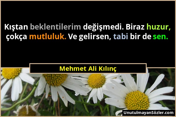 Mehmet Ali Kılınç - Kıştan beklentilerim değişmedi. Biraz huzur, çokça mutluluk. Ve gelirsen, tabi bir de sen....