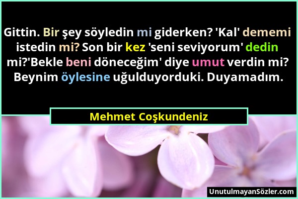 Mehmet Coşkundeniz - Gittin. Bir şey söyledin mi giderken? 'Kal' dememi istedin mi? Son bir kez 'seni seviyorum' dedin mi?'Bekle beni döneceğim' diye...