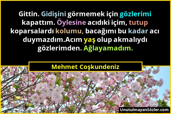 Mehmet Coşkundeniz - Gittin. Gidişini görmemek için gözlerimi kapattım. Öylesine acıdıki içim, tutup koparsalardı kolumu, bacağımı bu kadar acı duymaz...