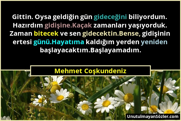 Mehmet Coşkundeniz - Gittin. Oysa geldiğin gün gideceğini biliyordum. Hazırdım gidişine.Kaçak zamanları yaşıyorduk. Zaman bitecek ve sen gidecektin.Be...