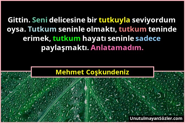 Mehmet Coşkundeniz - Gittin. Seni delicesine bir tutkuyla seviyordum oysa. Tutkum seninle olmaktı, tutkum teninde erimek, tutkum hayatı seninle sadece...