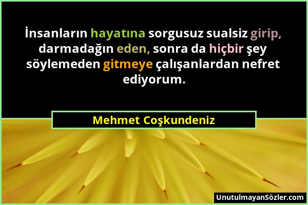 Mehmet Coşkundeniz - İnsanların hayatına sorgusuz sualsiz girip, darmadağın eden, sonra da hiçbir şey söylemeden gitmeye çalışanlardan nefret ediyorum...