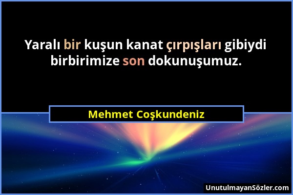 Mehmet Coşkundeniz - Yaralı bir kuşun kanat çırpışları gibiydi birbirimize son dokunuşumuz....