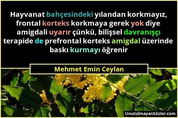 Mehmet Emin Ceylan - Hayvanat bahçesindeki yılandan korkmayız, frontal korteks korkmaya gerek yok diye amigdali uyarır çünkü, bilişsel davranışçı tera...