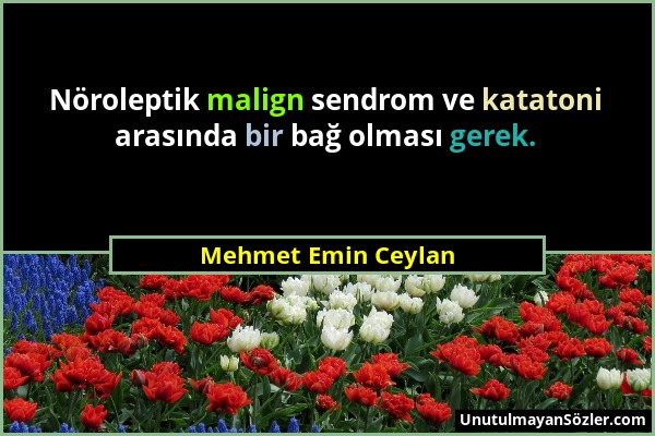 Mehmet Emin Ceylan - Nöroleptik malign sendrom ve katatoni arasında bir bağ olması gerek....