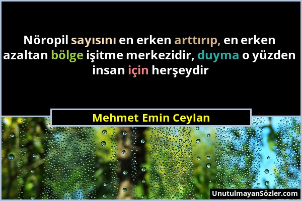 Mehmet Emin Ceylan - Nöropil sayısını en erken arttırıp, en erken azaltan bölge işitme merkezidir, duyma o yüzden insan için herşeydir...