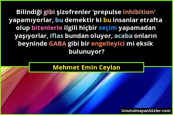 Mehmet Emin Ceylan - Bilindiği gibi şizofrenler 'prepulse inhibition' yapamıyorlar, bu demektir ki bu insanlar etrafta olup bitenlerle ilgili hiçbir s...