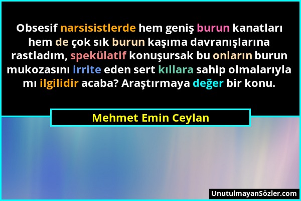 Mehmet Emin Ceylan - Obsesif narsisistlerde hem geniş burun kanatları hem de çok sık burun kaşıma davranışlarına rastladım, spekülatif konuşursak bu o...