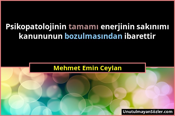 Mehmet Emin Ceylan - Psikopatolojinin tamamı enerjinin sakınımı kanununun bozulmasından ibarettir...
