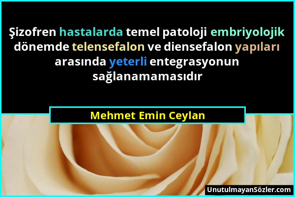 Mehmet Emin Ceylan - Şizofren hastalarda temel patoloji embriyolojik dönemde telensefalon ve diensefalon yapıları arasında yeterli entegrasyonun sağla...