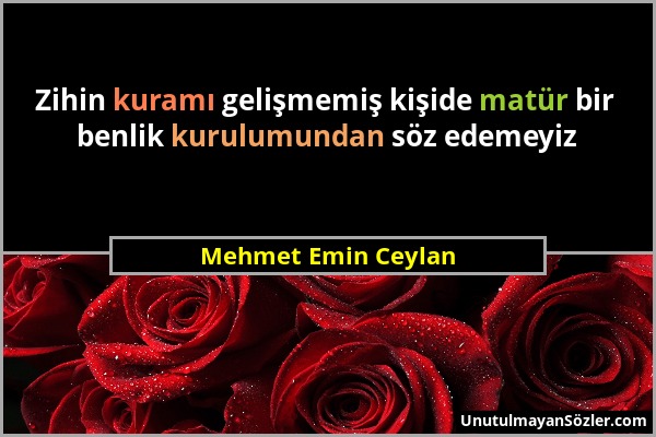 Mehmet Emin Ceylan - Zihin kuramı gelişmemiş kişide matür bir benlik kurulumundan söz edemeyiz...