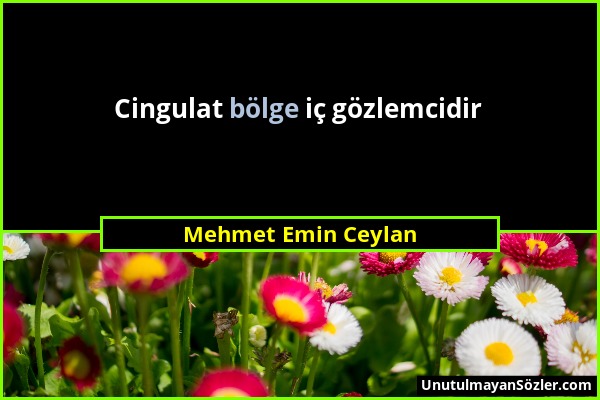 Mehmet Emin Ceylan - Cingulat bölge iç gözlemcidir...