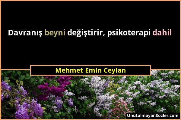Mehmet Emin Ceylan - Davranış beyni değiştirir, psikoterapi dahil...