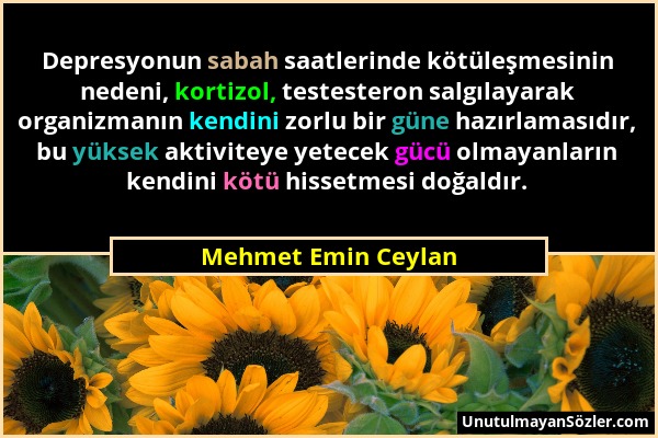 Mehmet Emin Ceylan - Depresyonun sabah saatlerinde kötüleşmesinin nedeni, kortizol, testesteron salgılayarak organizmanın kendini zorlu bir güne hazır...