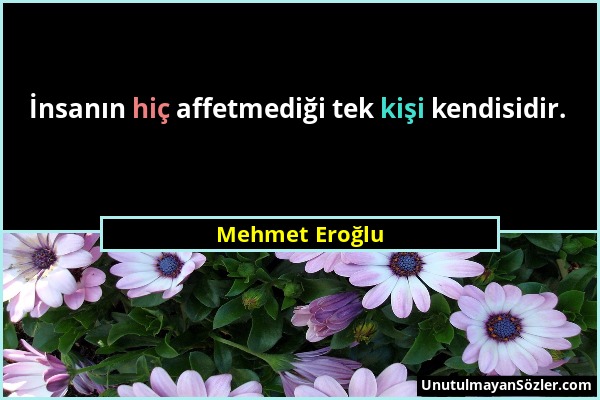 Mehmet Eroğlu - İnsanın hiç affetmediği tek kişi kendisidir....