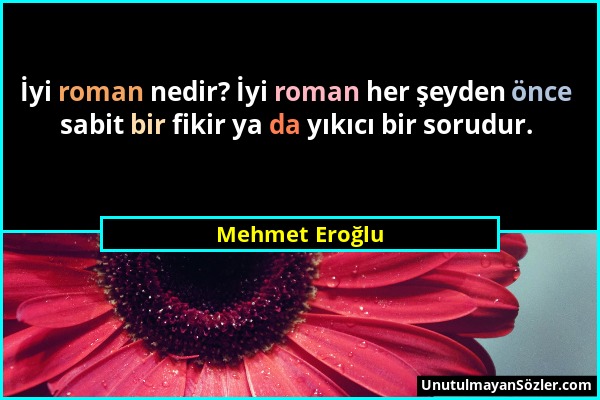 Mehmet Eroğlu - İyi roman nedir? İyi roman her şeyden önce sabit bir fikir ya da yıkıcı bir sorudur....