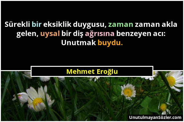 Mehmet Eroğlu - Sürekli bir eksiklik duygusu, zaman zaman akla gelen, uysal bir diş ağrısına benzeyen acı: Unutmak buydu....