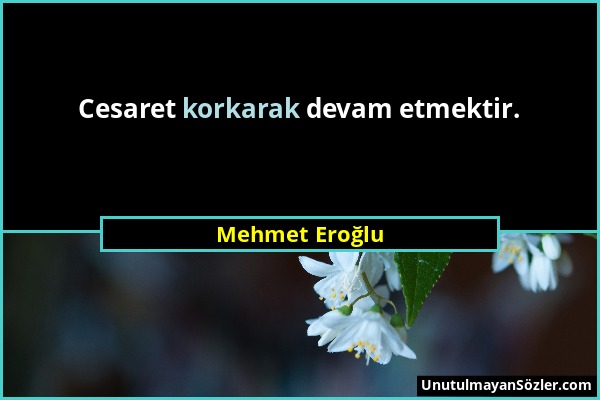 Mehmet Eroğlu - Cesaret korkarak devam etmektir....