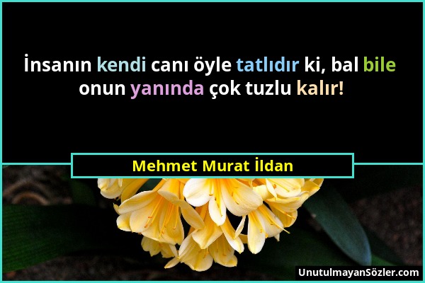 Mehmet Murat İldan - İnsanın kendi canı öyle tatlıdır ki, bal bile onun yanında çok tuzlu kalır!...