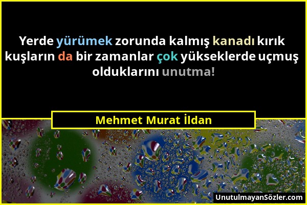 Mehmet Murat İldan - Yerde yürümek zorunda kalmış kanadı kırık kuşların da bir zamanlar çok yükseklerde uçmuş olduklarını unutma!...