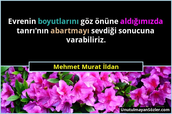 Mehmet Murat İldan - Evrenin boyutlarını göz önüne aldığımızda tanrı'nın abartmayı sevdiği sonucuna varabiliriz....