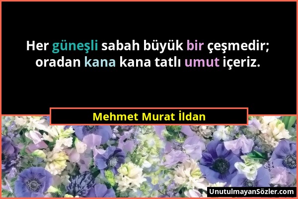 Mehmet Murat İldan - Her güneşli sabah büyük bir çeşmedir; oradan kana kana tatlı umut içeriz....