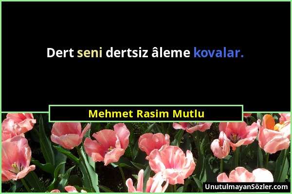 Mehmet Rasim Mutlu - Dert seni dertsiz âleme kovalar....