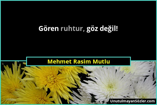 Mehmet Rasim Mutlu - Gören ruhtur, göz değil!...