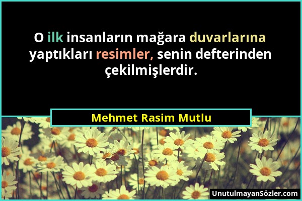 Mehmet Rasim Mutlu - O ilk insanların mağara duvarlarına yaptıkları resimler, senin defterinden çekilmişlerdir....