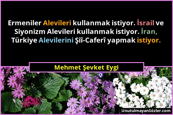 Mehmet Şevket Eygi - Ermeniler Alevileri kullanmak istiyor. İsrail ve Siyonizm Alevileri kullanmak istiyor. İran, Türkiye Alevilerini Şiî-Caferî yapma...