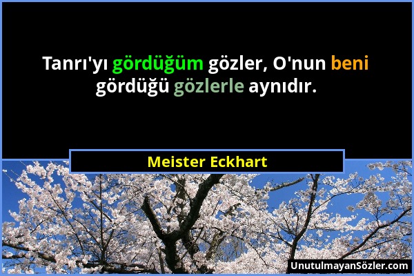 Meister Eckhart - Tanrı'yı gördüğüm gözler, O'nun beni gördüğü gözlerle aynıdır....