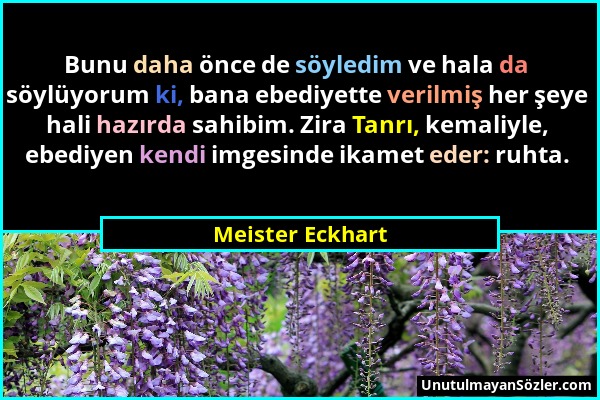 Meister Eckhart - Bunu daha önce de söyledim ve hala da söylüyorum ki, bana ebediyette verilmiş her şeye hali hazırda sahibim. Zira Tanrı, kemaliyle,...