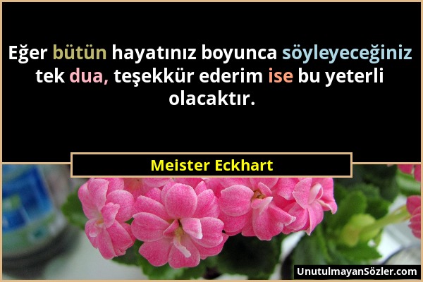 Meister Eckhart - Eğer bütün hayatınız boyunca söyleyeceğiniz tek dua, teşekkür ederim ise bu yeterli olacaktır....