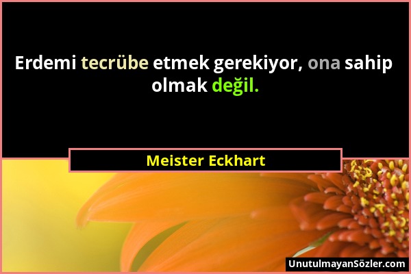 Meister Eckhart - Erdemi tecrübe etmek gerekiyor, ona sahip olmak değil....