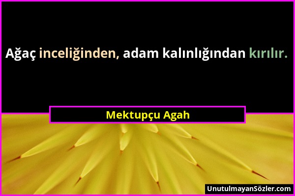 Mektupçu Agah - Ağaç inceliğinden, adam kalınlığından kırılır....