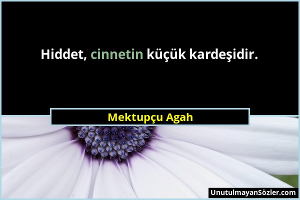 Mektupçu Agah - Hiddet, cinnetin küçük kardeşidir....