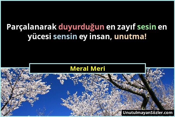 Meral Meri - Parçalanarak duyurduğun en zayıf sesin en yücesi sensin ey insan, unutma!...