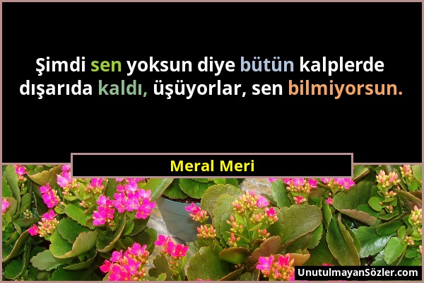 Meral Meri - Şimdi sen yoksun diye bütün kalplerde dışarıda kaldı, üşüyorlar, sen bilmiyorsun....